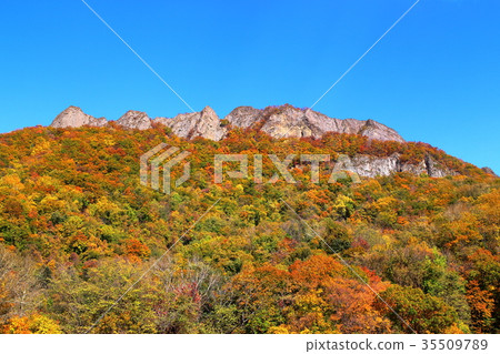 秋季葉子山景 秋季葉子山景 35509789