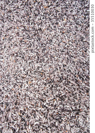 Purple brown rice 35510030