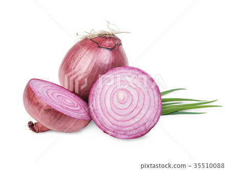 red and green onion isolated red and green onion isolated 35510088
