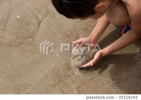 Little boy holding starfish on beach 35510143