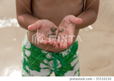 Little boy hand holding hermit crab on the beach Little boy hand holding hermit crab on the beach 35510150