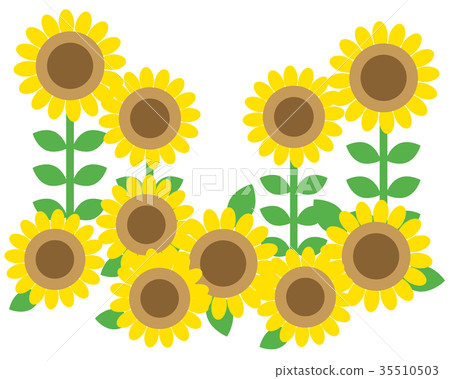 Summer image Sunflower Summer image Sunflower 35510503