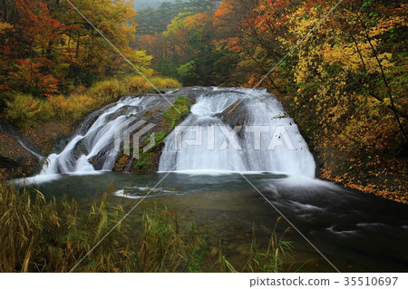 Kamabuchi waterfall of autumnal leaves Kamabuchi waterfall of autumnal leaves 35510697