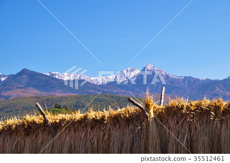 大米陰霾 35512461