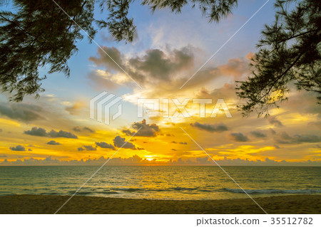 Sand dunes against the sunset light on the beach Sand dunes against the sunset light on the beach 35512782