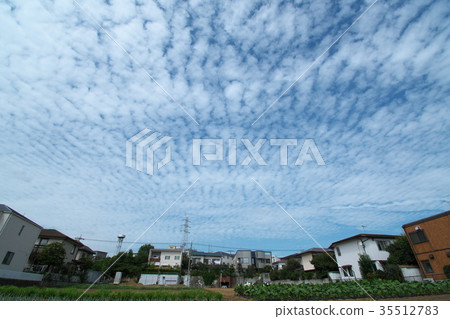 Sky scale cloud of residential area 35512783