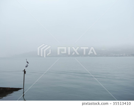 Night heron on the pier Night heron on the pier 35513410