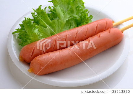 法蘭克福 35513850