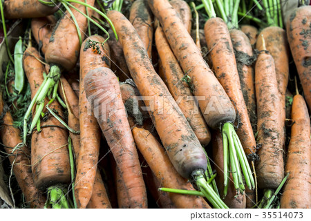 很多被弄髒的胡蘿蔔 35514073