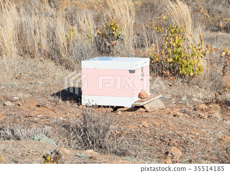 Beehive with bees in Greece 35514185