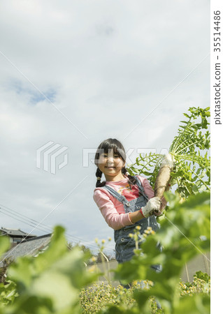 兒童手收穫蘿蔔 35514486