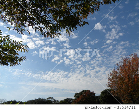 藍天和白色雲彩在秋天Yatsu潮汐公園 藍天和白色雲彩在秋天Yatsu潮汐公園 35514711