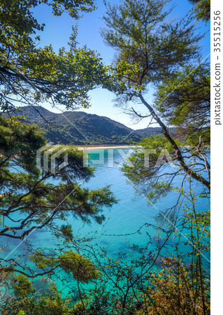 Track view, Abel Tasman National Park, New Zealand Track view, Abel Tasman National Park, New Zealand 35515256