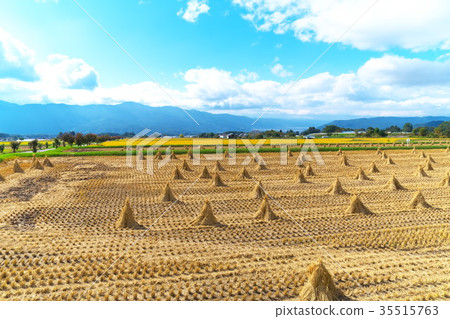 Autumn landscape Autumn landscape 35515763