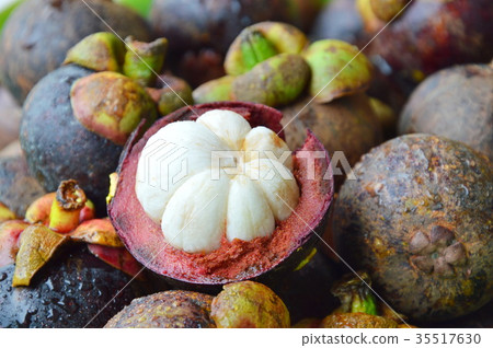 mangosteen summer tropical fruit peel out mangosteen summer tropical fruit peel out 35517630