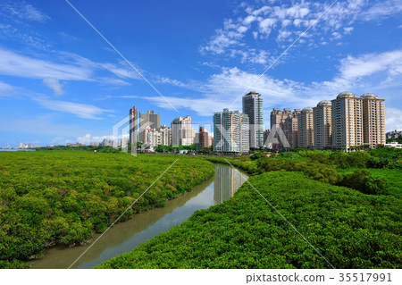 自然生態保護區,淡水紅樹林自然保留區,高樓大廈,藍天白雲,建築,雲,天空,樹,房子,建築物,自然 35517991