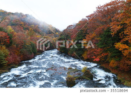 [Autumn leaves] Fall leaves of Ryugano no Taki Ryuo no Taki (Ryado no Taki, Ryuo no Taki) 35518694