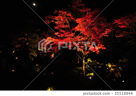 Yu Harukaen light up 35518944