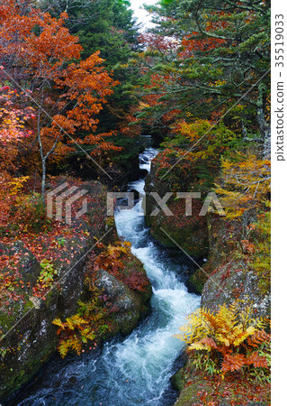 [Autumn leaves] Fall leaves of Ryugano no Taki Ryuo no Taki (Ryado no Taki, Ryuo no Taki) 35519033