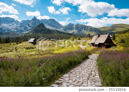 Hala Gasienicowa, Tatra mountains Zakopane Poland 35519916
