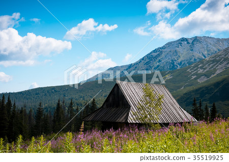 Hala Gasienicowa, Tatra mountains Zakopane Poland 35519925