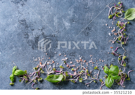 Young sprouts with salt 35521210