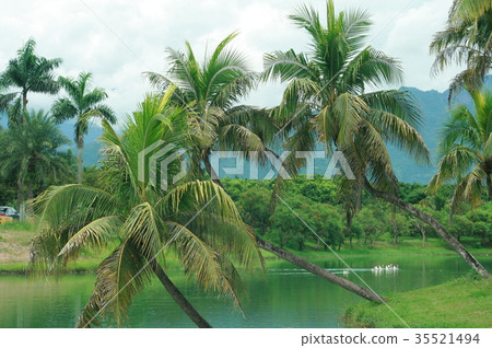 台灣 花蓮 雲山水 台灣 花蓮 雲山水 35521494