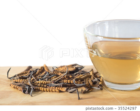 Select focust of Ophiocordyceps sinensis 35524297