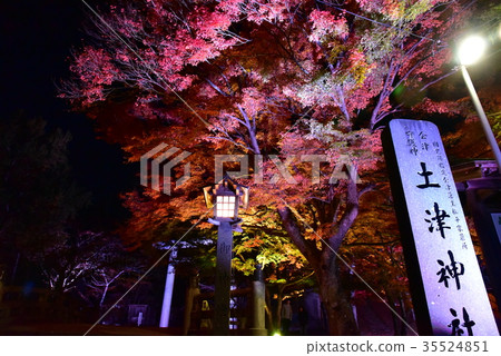 Autumn leaves of Tsu shrine 35524851