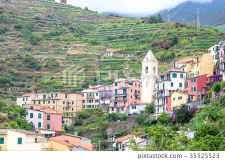 Beautiful view to Manarola city in mountains Beautiful view to Manarola city in mountains 35525523