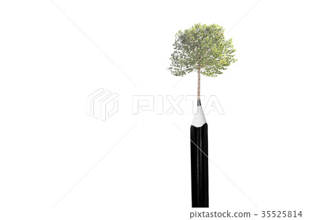 Environment conceptual tree on top of the pencils Environment conceptual tree on top of the pencils 35525814