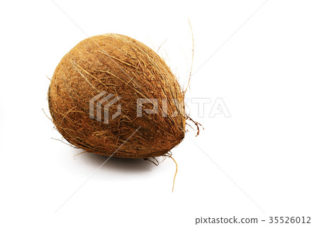 ripe coconut on the white background ripe coconut on the white background 35526012