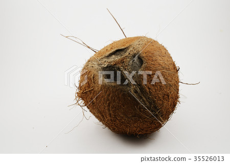 coconut look like a human face coconut look like a human face 35526013