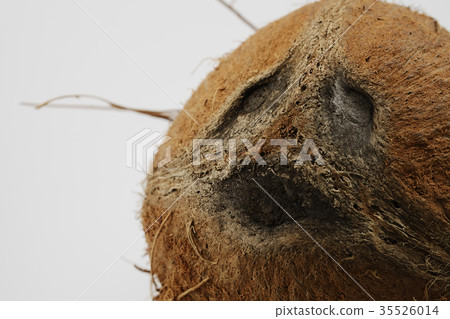 coconut look like a human face 35526014