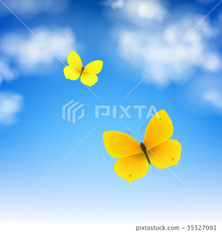 Butterfly And Sky 35527091