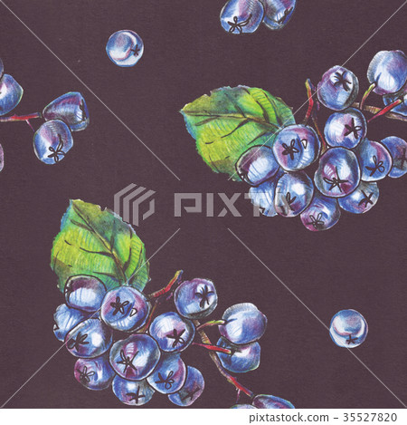 Seamless pattern chokeberry berries on black 35527820