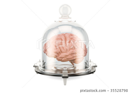 Human brain covered by glass bell, 3D rendering Human brain covered by glass bell, 3D rendering 35528798
