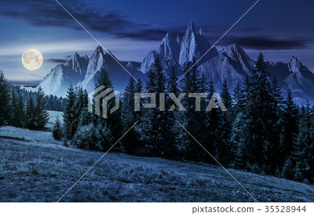 forest in mountains with rocky peaks at night 35528944
