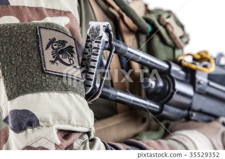 French paratroopers chevron French paratroopers chevron 35529352