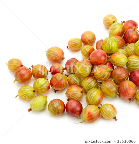 Big ripe gooseberries isolated on a white 35530066