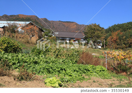 神聖的山口的秋天 35530149