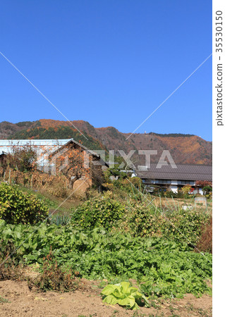 神聖的山口的秋天 35530150