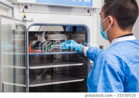 Laboratory researcher and incubator Laboratory researcher and incubator 35530510