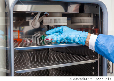 Laboratory researcher and incubator Laboratory researcher and incubator 35530513