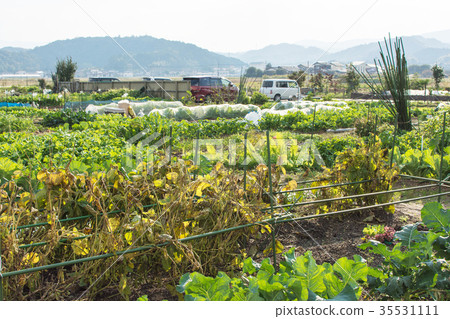 租用種植園 35531111