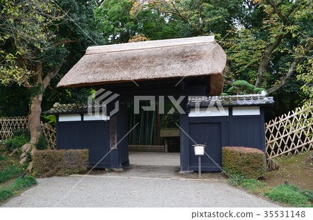 Bamboo forest in Mito Kairakuen 35531148