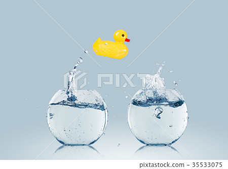 Duck toy Duck toy 35533075