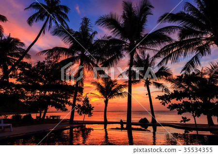 Dramatic Sunset with silhouettes palm in Thailand Dramatic Sunset with silhouettes palm in Thailand 35534355