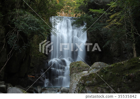 桑樹瀑布 35535842