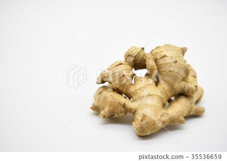 薑母 薑母 35536659